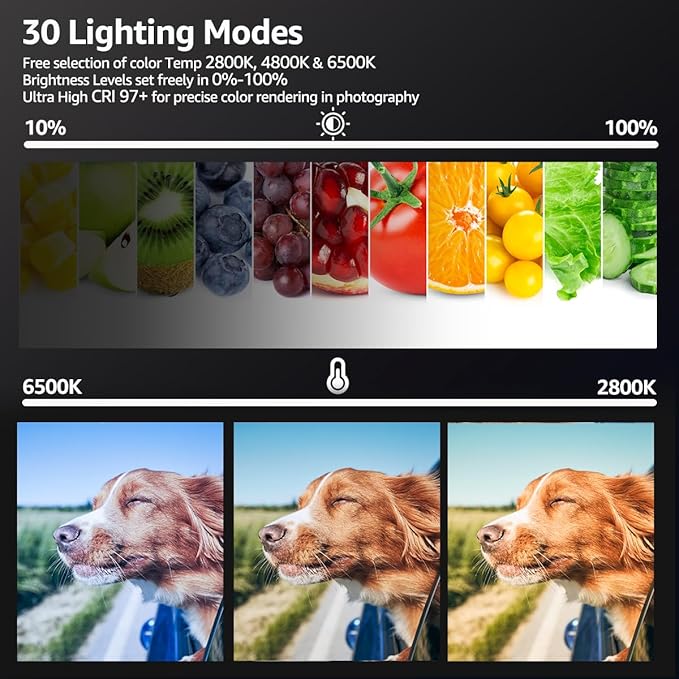 2800-6500K Dimmable Continuous Photography Lighting with Tripod Stand